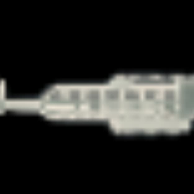 13.5" Canis-05