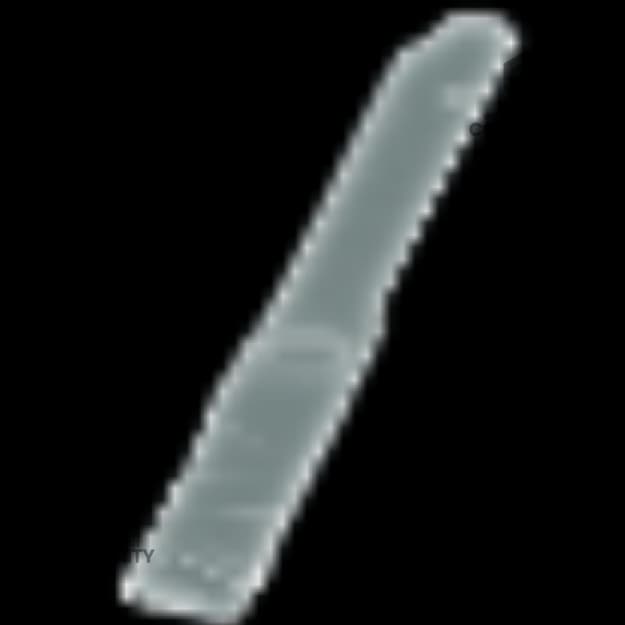 Zealot Extended Mag II